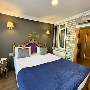 酒店 Ethnica Old City, 伊斯坦布尔